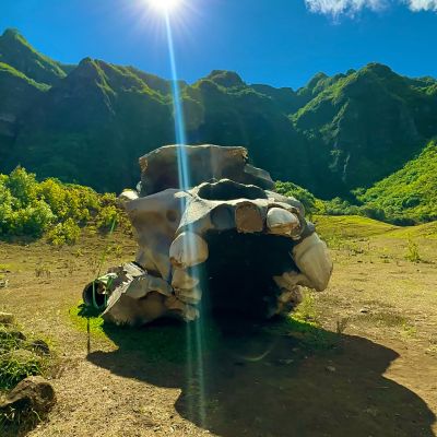 hawaii1